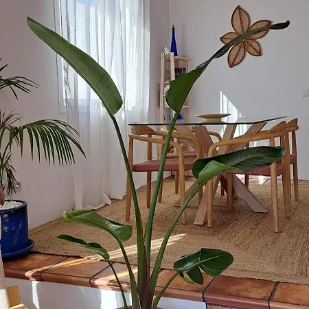 Cocomar I - Peace Oasis With Sea Views Guatiza